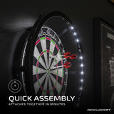 Accudart Vortex LED Surround_4